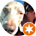 Danny LarRos profile picture